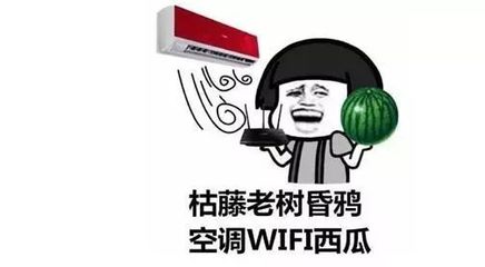 告別空調(diào)西瓜WIFI周末，解鎖健康生活新方式