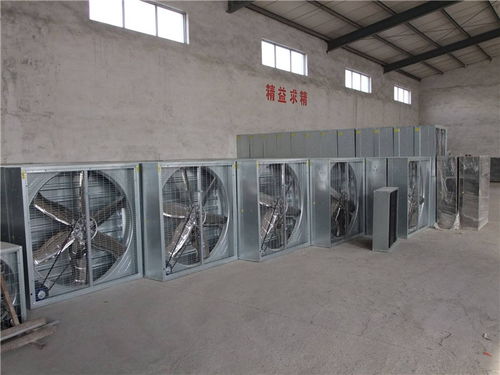 專業降溫解決方案 塑料廠負壓降溫風機與偉達冷風機的應用與咨詢